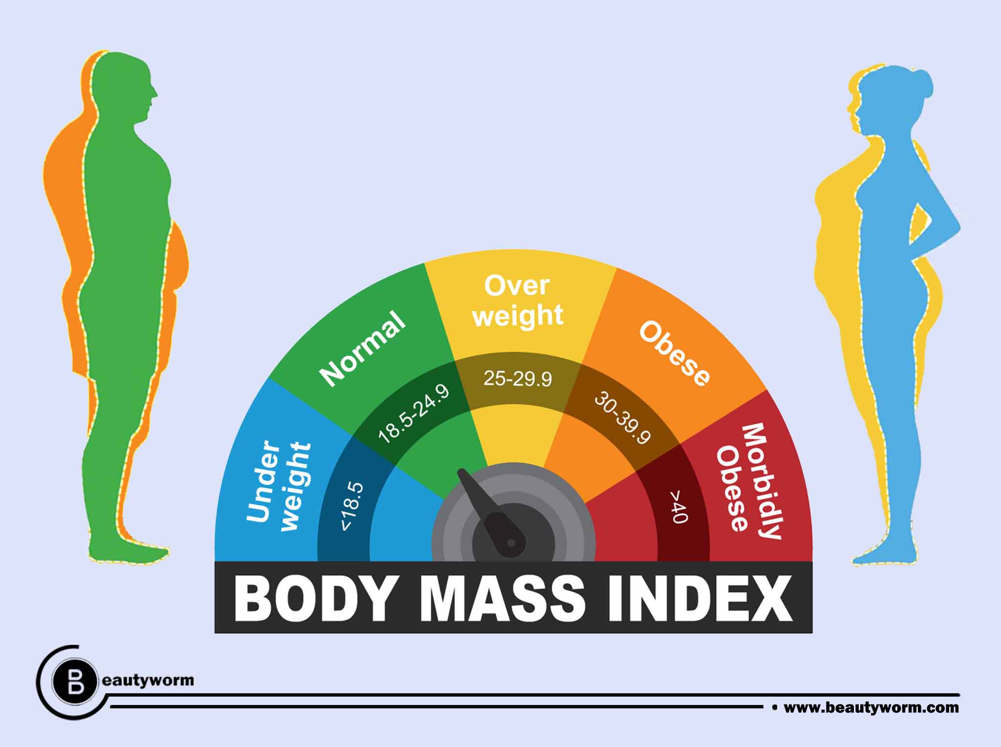 What are the BMI categories?